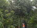 Tn DSC 4007